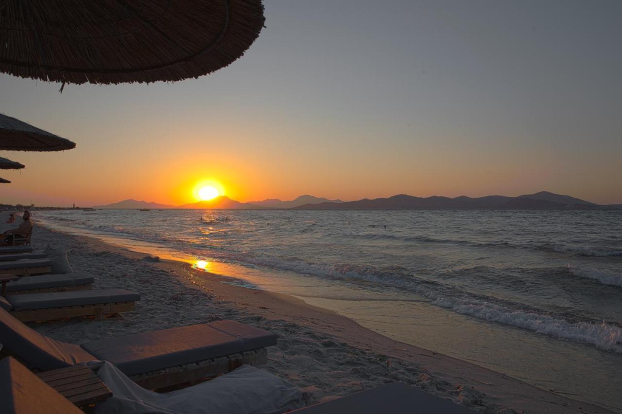 Philippos & Alexandros Apartments Tigaki エクステリア 写真